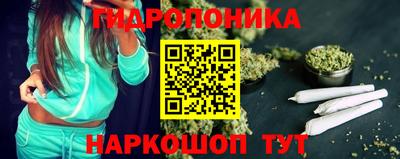 прущие крисы Ачхой-Мартан