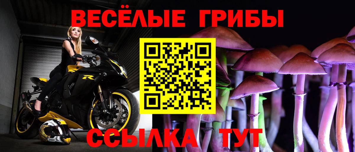 цены наркотик  Вход с VPN  Пыть-Ях  Псилоцибиновые грибы Cubensis 