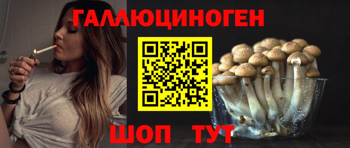 Псилоцибиновые грибы прущие грибы Пыть-Ях